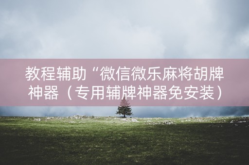 教程辅助“微信微乐麻将胡牌神器（专用辅牌神器免安装）
