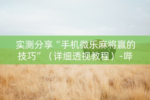 实测分享“手机微乐麻将赢的技巧”（详细透视教程）-哔哩哔哩