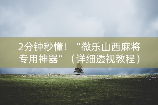 2分钟秒懂！“微乐山西麻将专用神器”（详细透视教程）-哔哩哔哩