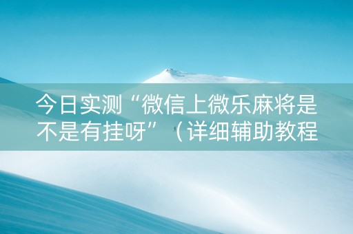 今日实测“微信上微乐麻将是不是有挂呀”（详细辅助教程）-哔哩哔哩