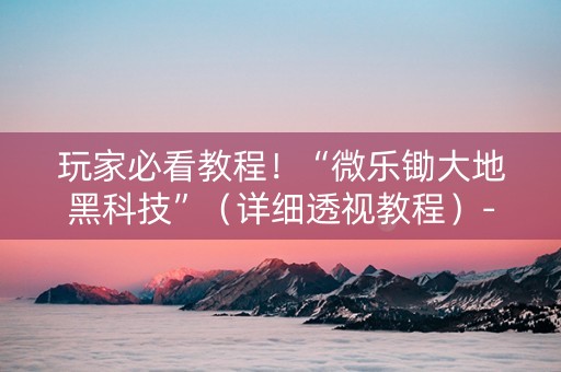 玩家必看教程！“微乐锄大地黑科技”（详细透视教程）-哔哩哔哩