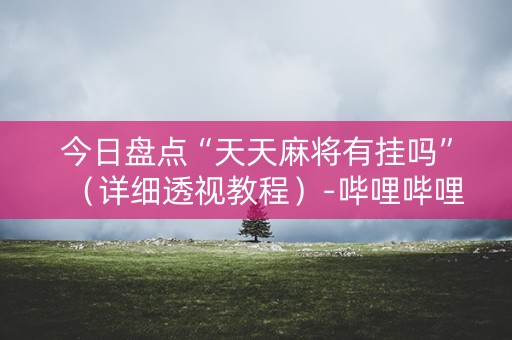 今日盘点“天天麻将有挂吗”（详细透视教程）-哔哩哔哩