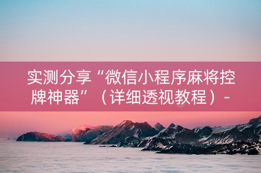 实测分享“微信小程序麻将控牌神器”（详细透视教程）-哔哩哔哩