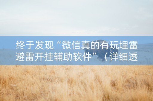 终于发现“微信真的有玩埋雷避雷开挂辅助软件”（详细透视教程）-哔哩哔哩
