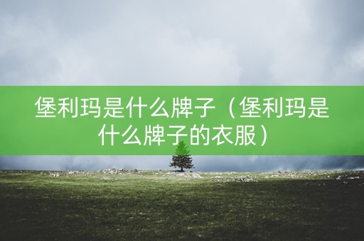 堡利玛是什么牌子（堡利玛是什么牌子的衣服）