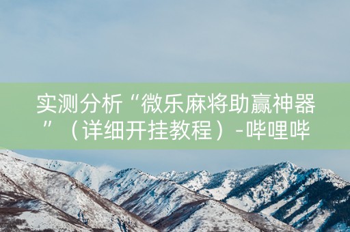 实测分析“微乐麻将助赢神器”（详细开挂教程）-哔哩哔哩