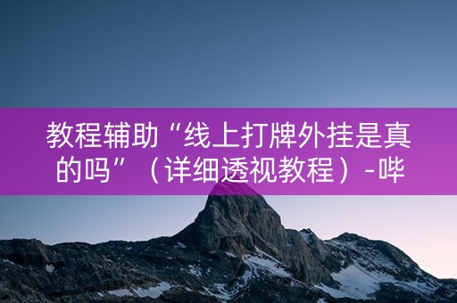 教程辅助“线上打牌外挂是真的吗”（详细透视教程）-哔哩哔哩