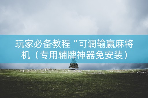玩家必备教程“可调输赢麻将机（专用辅牌神器免安装）