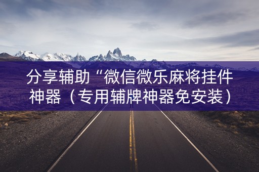 分享辅助“微信微乐麻将挂件神器（专用辅牌神器免安装）