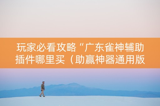 详细阅读:玩家必看攻略“广东雀神辅助插件哪里买(助赢神器通用版) 玩家必看攻略“广东雀神辅助插件哪里买(助赢神器通用版)