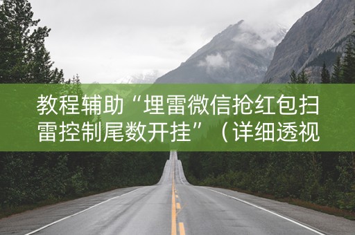 教程辅助“埋雷微信抢红包扫雷控制尾数开挂”（详细透视教程）-哔哩哔哩
