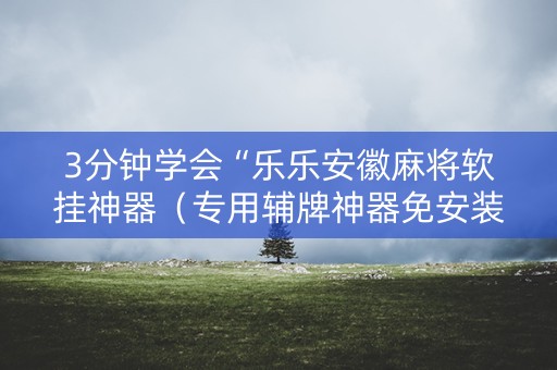 3分钟学会“乐乐安徽麻将软挂神器（专用辅牌神器免安装）
