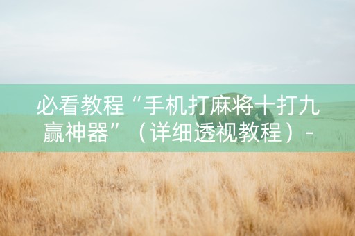 必看教程“手机打麻将十打九赢神器”（详细透视教程）-哔哩哔哩