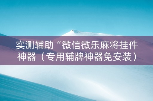 实测辅助“微信微乐麻将挂件神器（专用辅牌神器免安装）