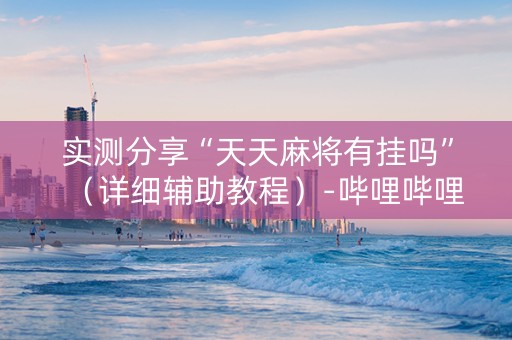 实测分享“天天麻将有挂吗”（详细辅助教程）-哔哩哔哩