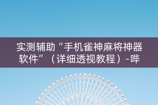 实测辅助“手机雀神麻将神器软件”（详细透视教程）-哔哩哔哩