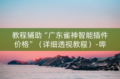 教程辅助“广东雀神智能插件价格”（详细透视教程）-哔哩哔哩