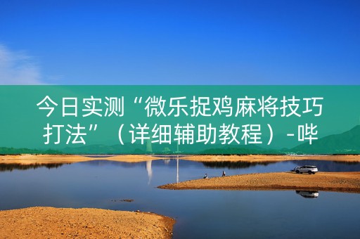 今日实测“微乐捉鸡麻将技巧打法”（详细辅助教程）-哔哩哔哩