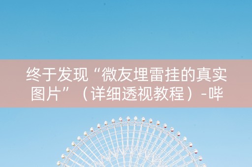 终于发现“微友埋雷挂的真实图片”（详细透视教程）-哔哩哔哩