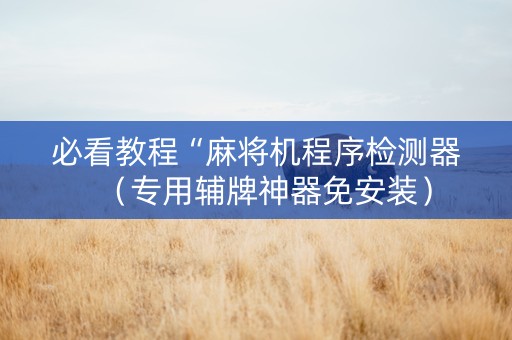 必看教程“麻将机程序检测器（专用辅牌神器免安装）
