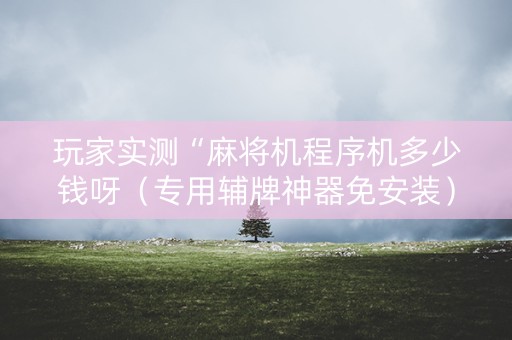 玩家实测“麻将机程序机多少钱呀（专用辅牌神器免安装）