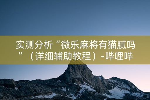 实测分析“微乐麻将有猫腻吗”（详细辅助教程）-哔哩哔哩