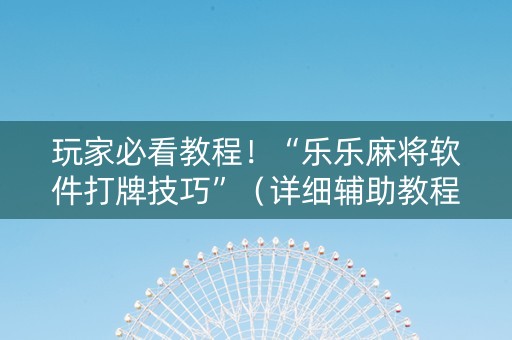 玩家必看教程！“乐乐麻将软件打牌技巧”（详细辅助教程）-哔哩哔哩