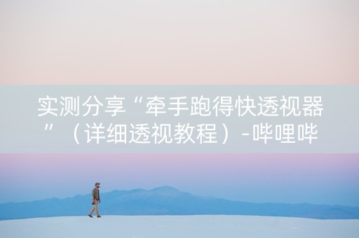 实测分享“牵手跑得快透视器”（详细透视教程）-哔哩哔哩