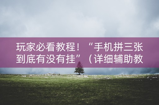 玩家必看教程！“手机拼三张到底有没有挂”（详细辅助教程）-哔哩哔哩