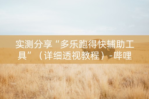 实测分享“多乐跑得快辅助工具”（详细透视教程）-哔哩哔哩