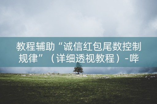 教程辅助“诚信红包尾数控制规律”（详细透视教程）-哔哩哔哩