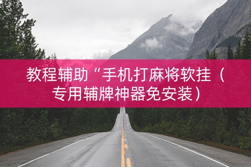 教程辅助“手机打麻将软挂（专用辅牌神器免安装）