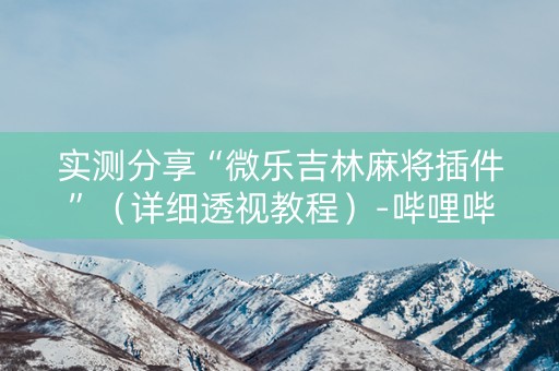 实测分享“微乐吉林麻将插件”（详细透视教程）-哔哩哔哩