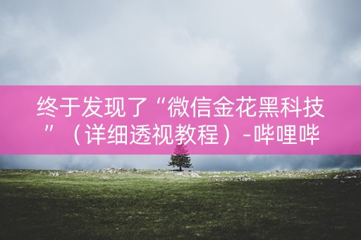 终于发现了“微信金花黑科技”（详细透视教程）-哔哩哔哩