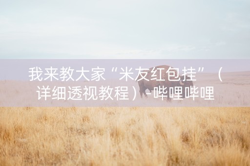 我来教大家“米友红包挂”（详细透视教程）-哔哩哔哩