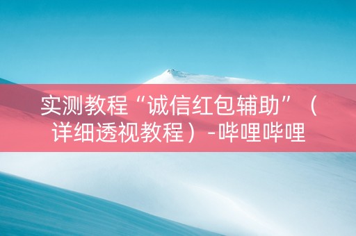实测教程“诚信红包辅助”（详细透视教程）-哔哩哔哩