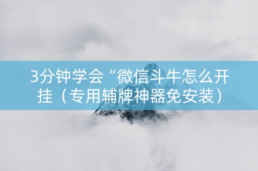 3分钟学会“微信斗牛怎么开挂（专用辅牌神器免安装）