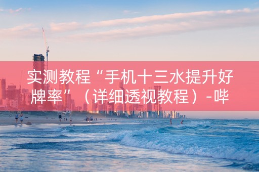 实测教程“手机十三水提升好牌率”（详细透视教程）-哔哩哔哩