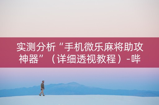 实测分析“手机微乐麻将助攻神器”（详细透视教程）-哔哩哔哩