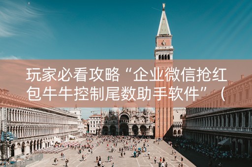 玩家必看攻略“企业微信抢红包牛牛控制尾数助手软件”（详细透视教程）-哔哩哔哩