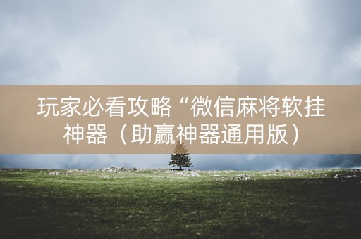 玩家必看攻略“微信麻将软挂神器（助赢神器通用版）