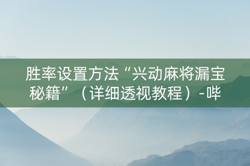 胜率设置方法“兴动麻将漏宝秘籍”（详细透视教程）-哔哩哔哩