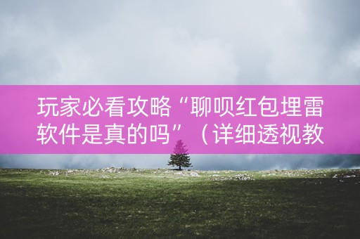 玩家必看攻略“聊呗红包埋雷软件是真的吗”（详细透视教程）-哔哩哔哩