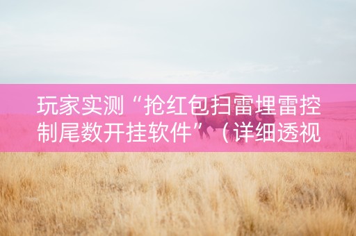 玩家实测“抢红包扫雷埋雷控制尾数开挂软件”（详细透视教程）-哔哩哔哩