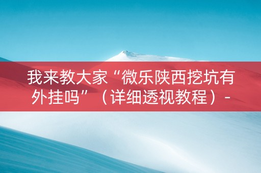我来教大家“微乐陕西挖坑有外挂吗”（详细透视教程）-哔哩哔哩