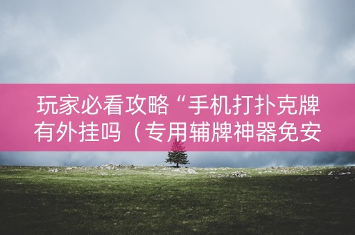 玩家必看攻略“手机打扑克牌有外挂吗（专用辅牌神器免安装）