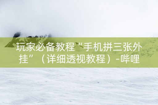 玩家必备教程“手机拼三张外挂”（详细透视教程）-哔哩哔哩