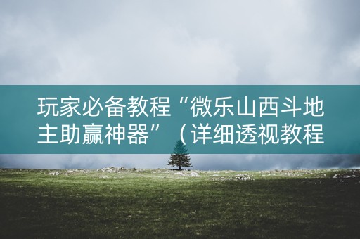 玩家必备教程“微乐山西斗地主助赢神器”（详细透视教程）-哔哩哔哩