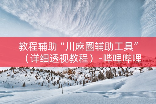 教程辅助“川麻圈辅助工具”（详细透视教程）-哔哩哔哩