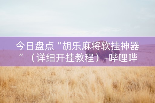 今日盘点“胡乐麻将软挂神器”（详细开挂教程）-哔哩哔哩
